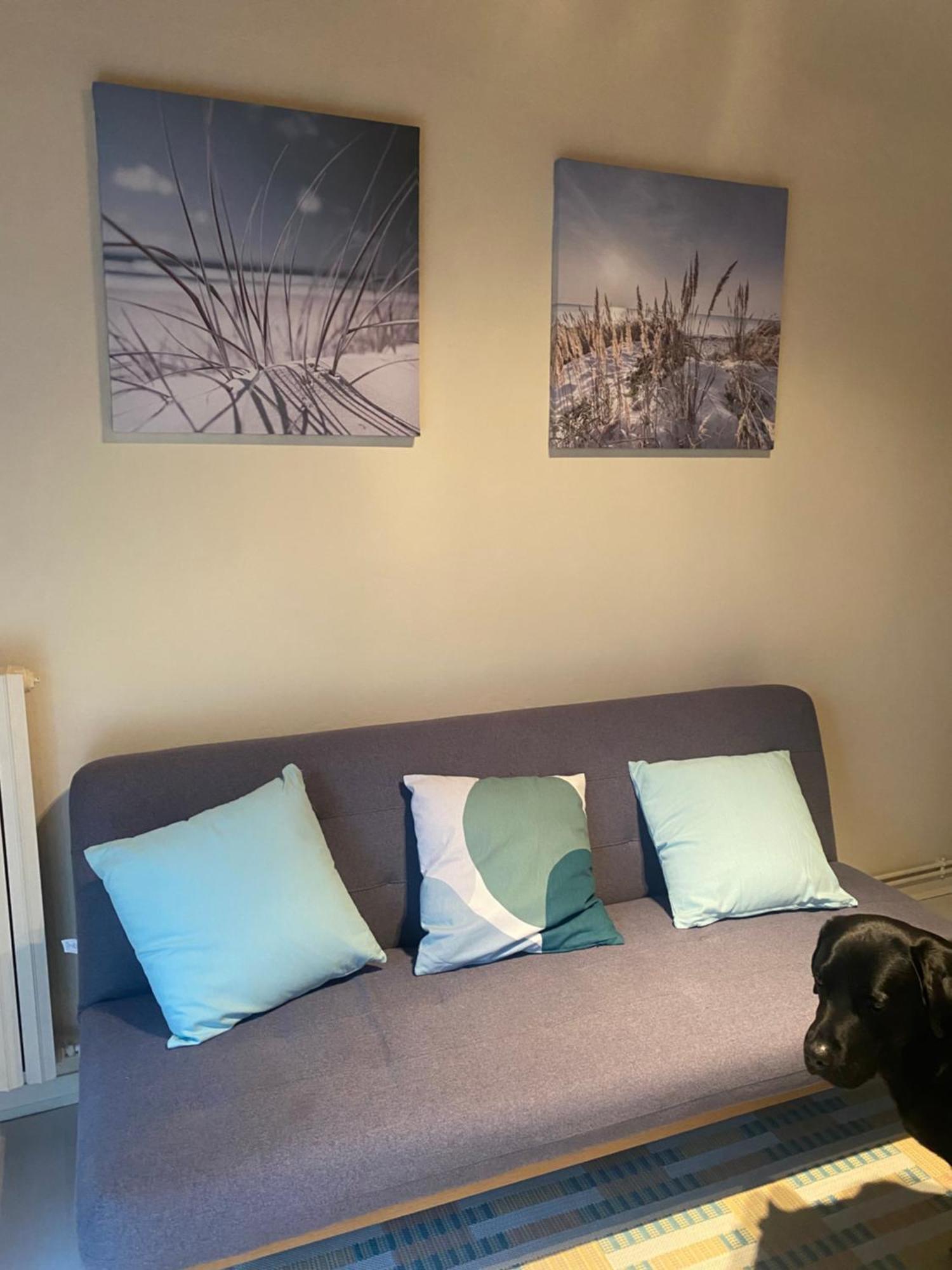 Appartement Avec Jardin Le Porge Esterno foto