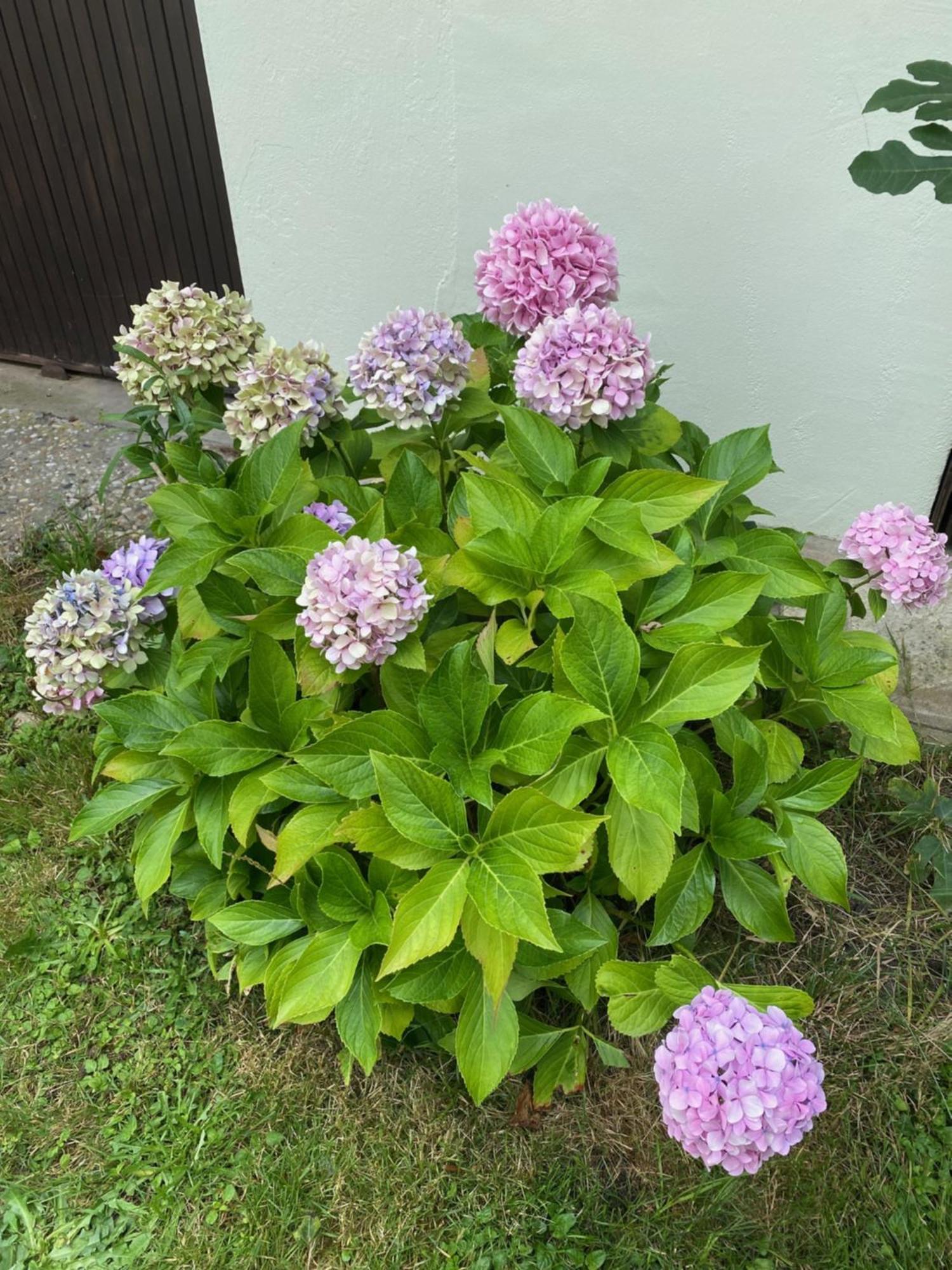 Appartement Avec Jardin Le Porge Esterno foto