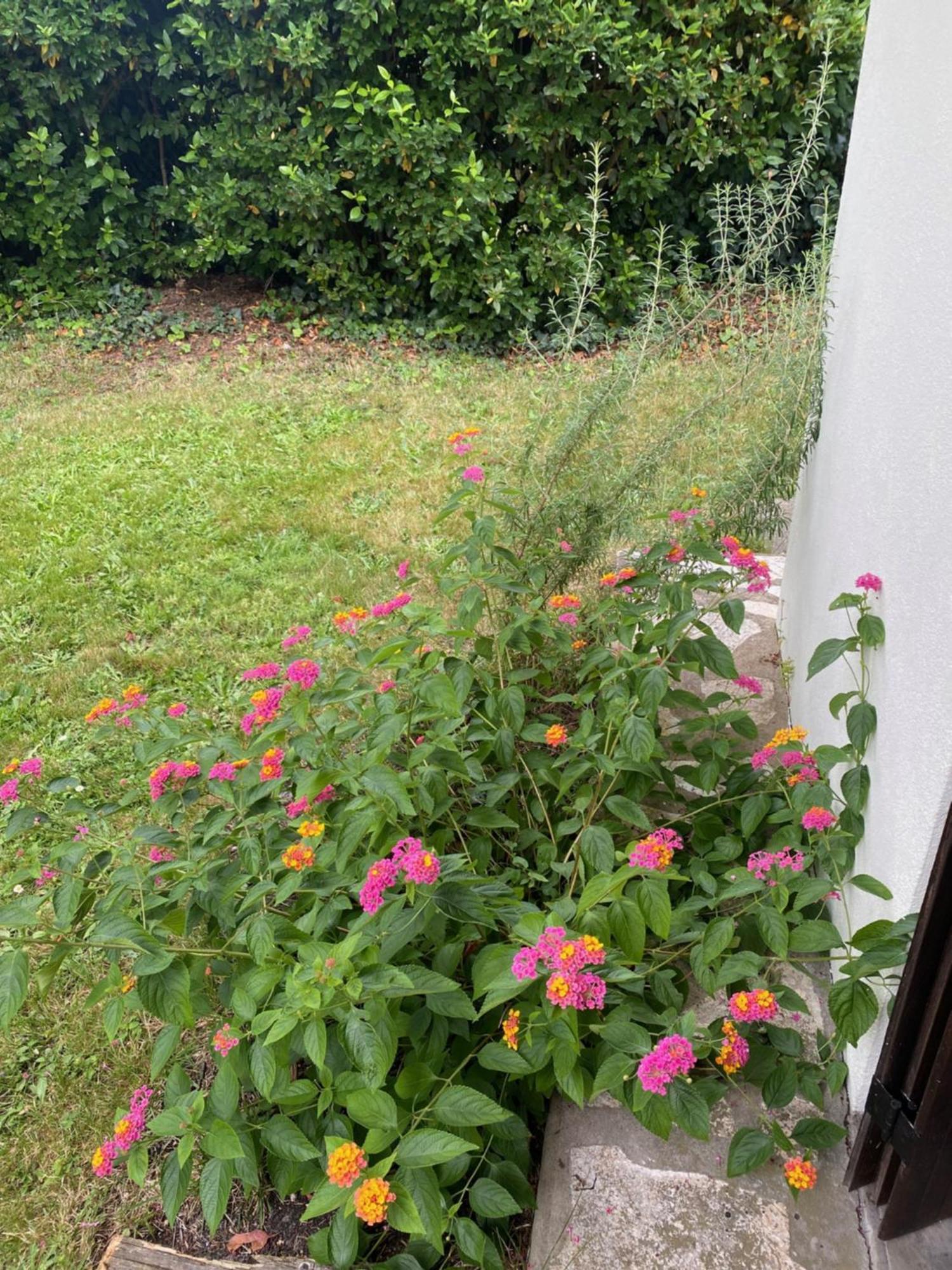 Appartement Avec Jardin Le Porge Esterno foto